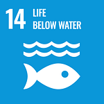 SDG icon goal 14