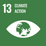 SDG icon goal 13