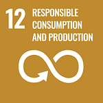 SDG icon goal 12